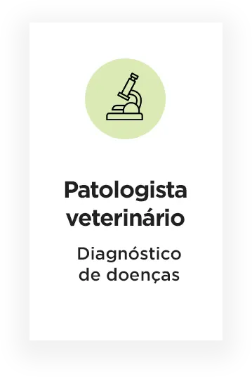 completo_patologista vet